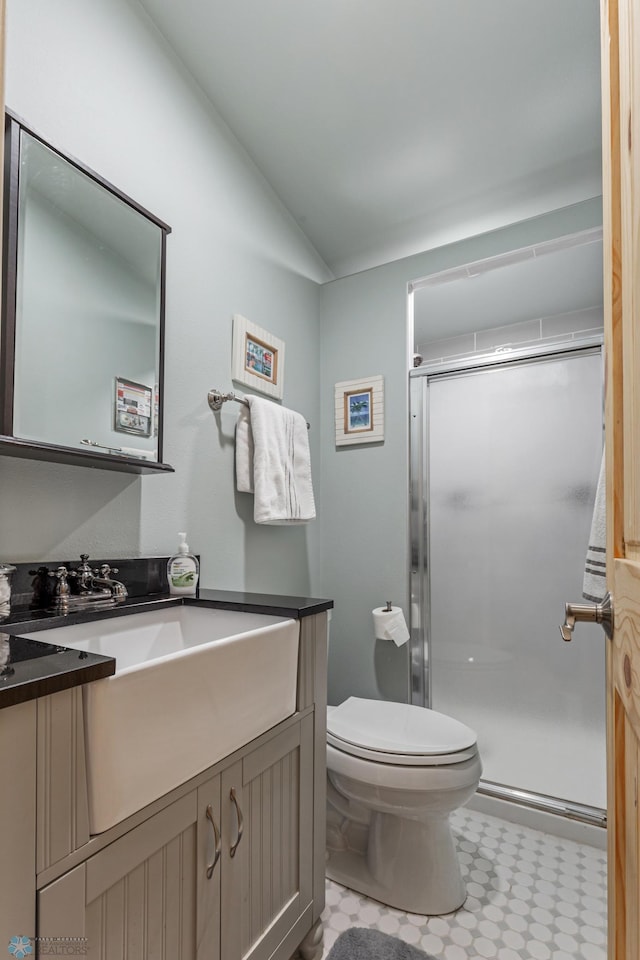 bathroom featuring vanity, toilet, walk in shower, and vaulted ceiling