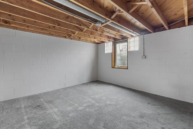 basement featuring carpet floors