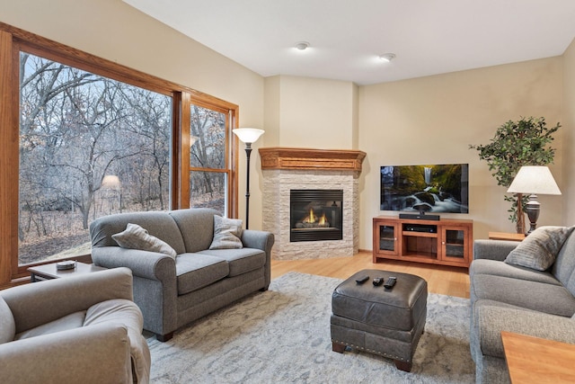 living room with a stone fireplace and wood finished floors