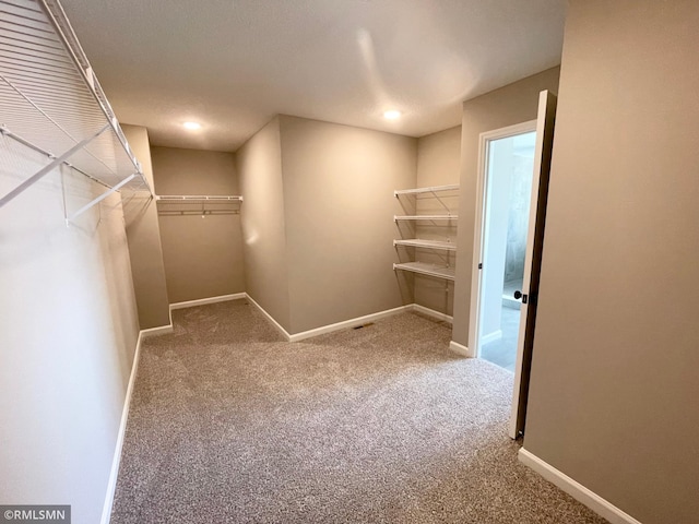 spacious closet with carpet flooring