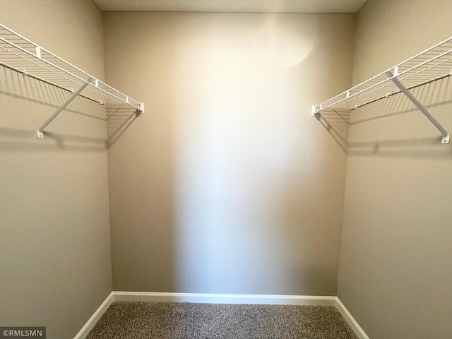 walk in closet with carpet