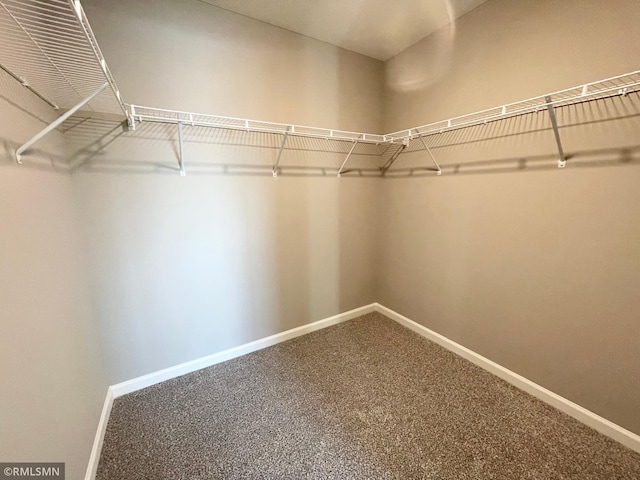 walk in closet with carpet