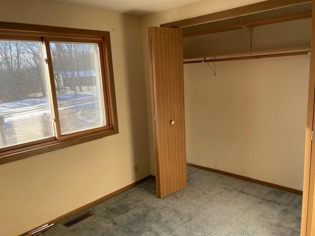 unfurnished bedroom featuring multiple windows, a closet, and carpet floors