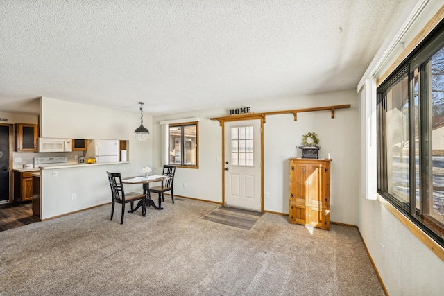 interior space featuring carpet flooring and a textured ceiling