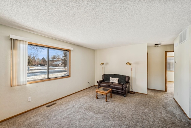 living area featuring carpet and a textured ceiling