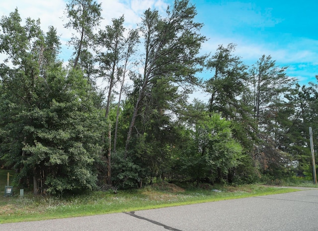 Listing photo 2 for TBD Dahlin Rd, Baxter MN 56425