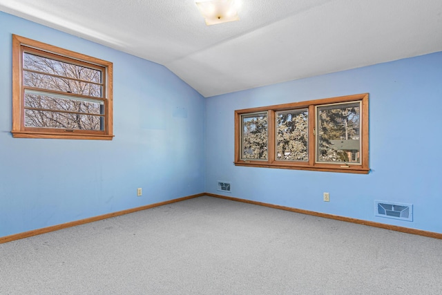 empty room with lofted ceiling, plenty of natural light, carpet flooring, and a textured ceiling