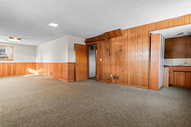 carpeted empty room featuring sink, a textured ceiling, and wood walls