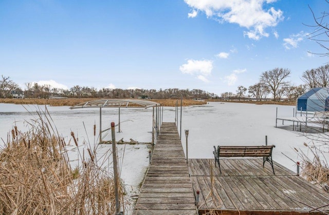 dock area with a water view