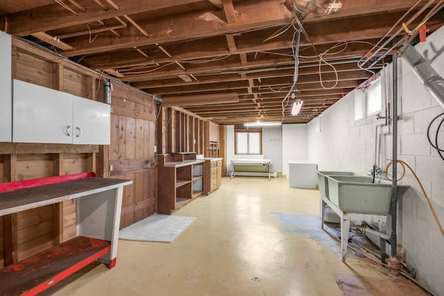 basement with a workshop area, sink, and a wealth of natural light