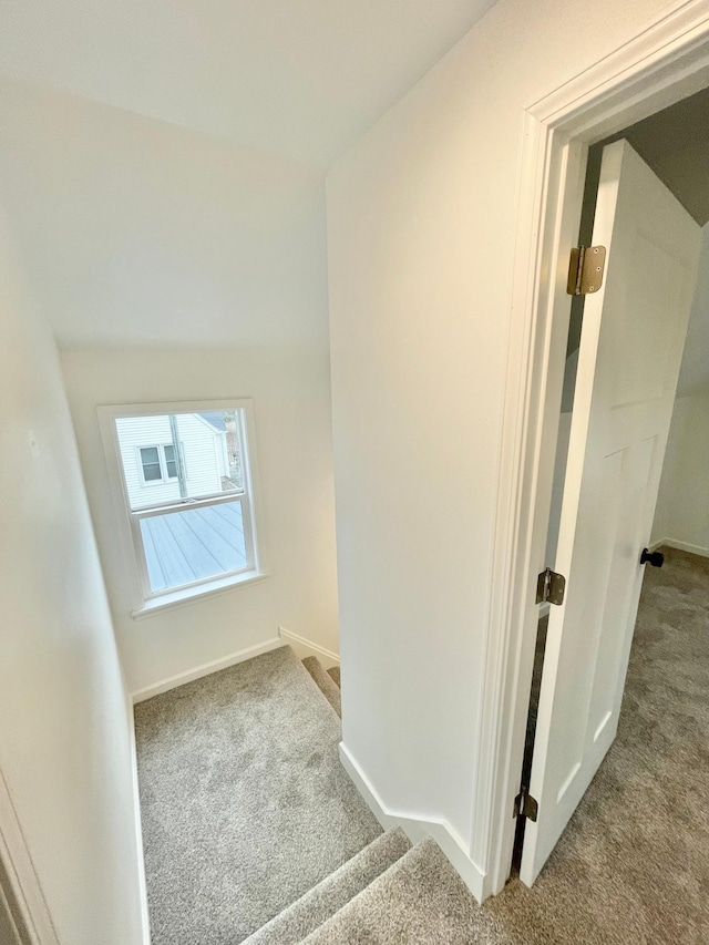 stairway with carpet flooring