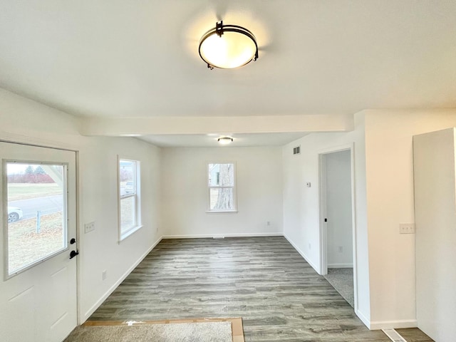 foyer entrance with light wood-type flooring and a wealth of natural light