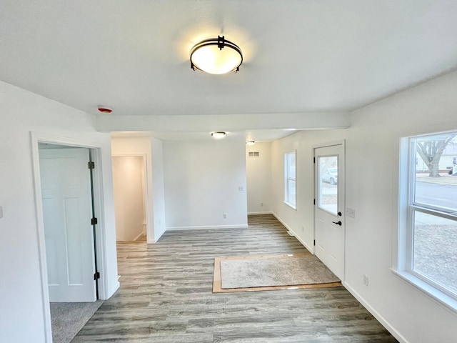 entrance foyer with wood-type flooring and plenty of natural light