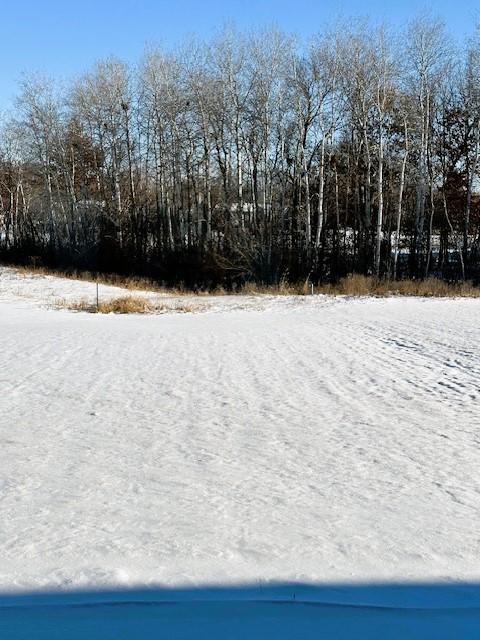 view of yard covered in snow