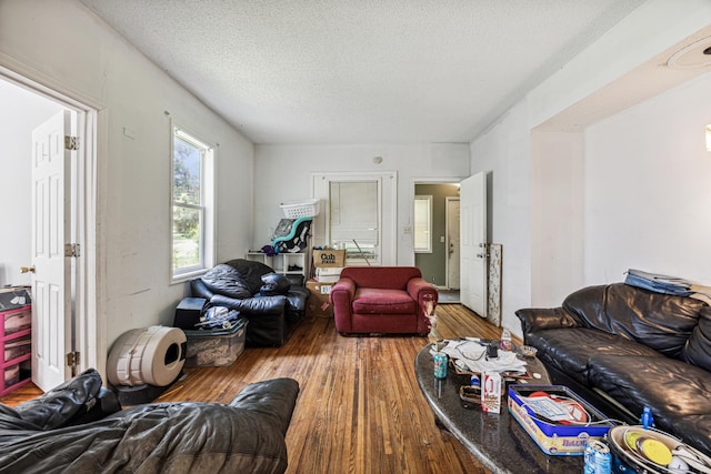 living room featuring hardwood / wood-style floors and a textured ceiling