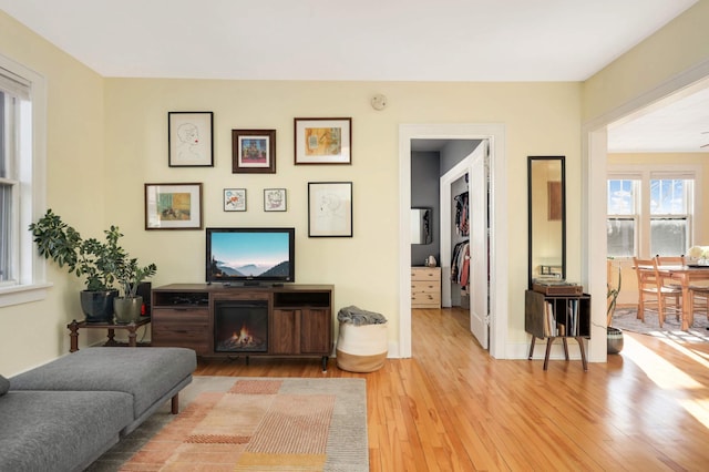 living room with a fireplace and light hardwood / wood-style floors