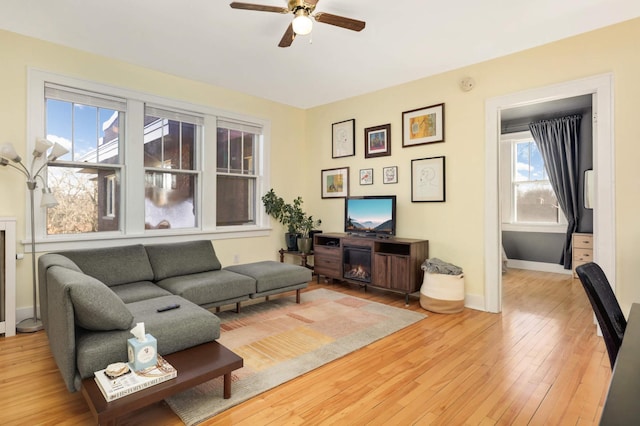 living room with ceiling fan and light wood-type flooring