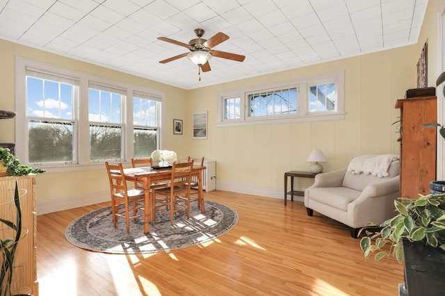 dining space with light hardwood / wood-style flooring and ceiling fan