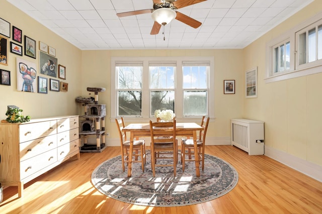 dining area with light hardwood / wood-style flooring, radiator, and ceiling fan