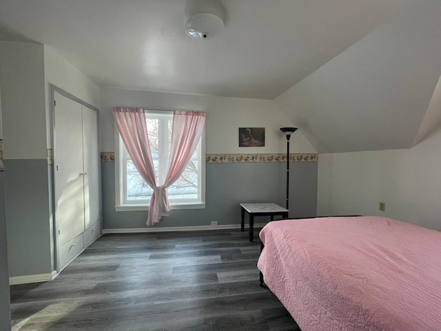 bedroom with lofted ceiling, dark wood-type flooring, and a closet