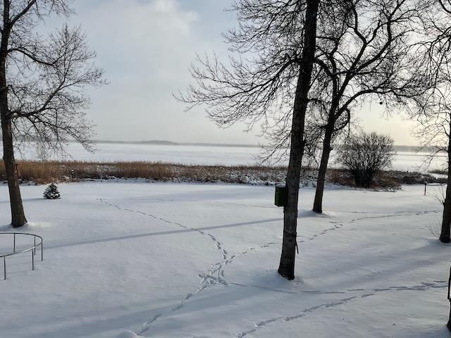 view of yard layered in snow