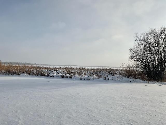 view of snowy yard