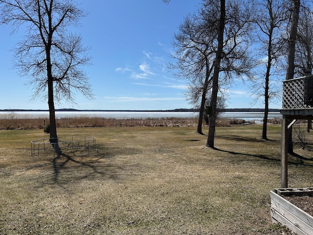19162 Coho Loop NE, Blackduck, MN 56647 - view of yard with a water view