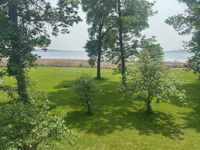 19162 Coho Loop NE, Blackduck, MN 56647 - view of green lawn with a water view