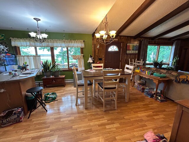 19162 Coho Loop NE, Blackduck, MN 56647 - photo 6