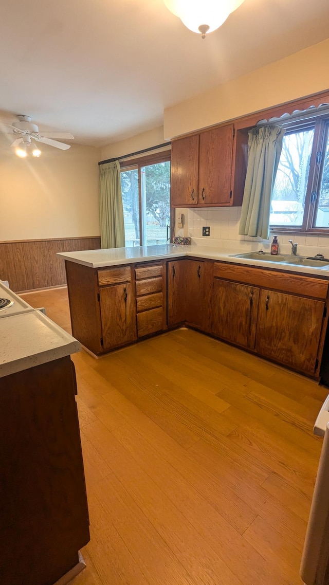 kitchen featuring light hardwood / wood-style flooring, plenty of natural light, and sink