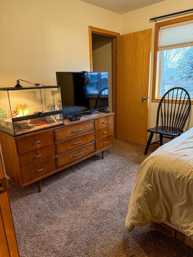 carpeted bedroom with a textured ceiling