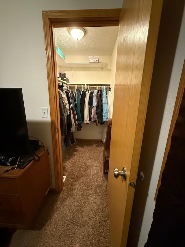 spacious closet featuring carpet floors