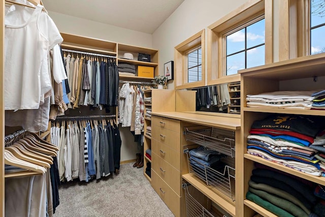 spacious closet featuring light colored carpet