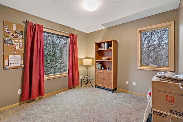 miscellaneous room featuring carpet flooring, a textured ceiling, and a healthy amount of sunlight