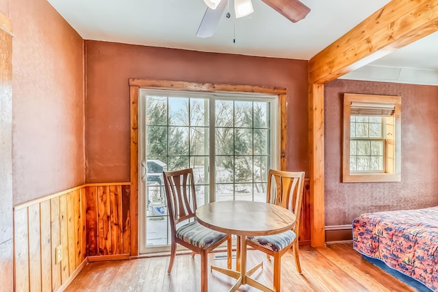 dining space with wooden walls, light hardwood / wood-style floors, ceiling fan, and a healthy amount of sunlight