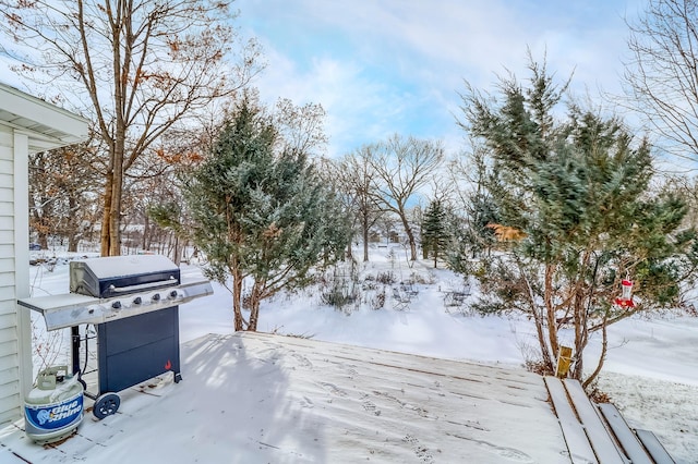 view of yard covered in snow