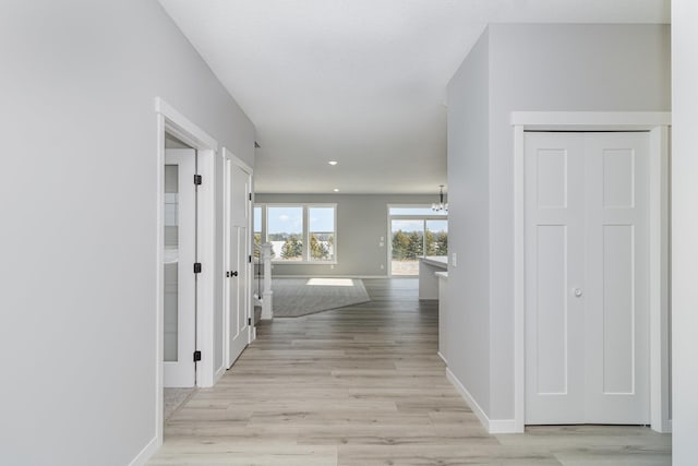 corridor with a notable chandelier and light hardwood / wood-style floors