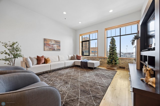 living room featuring dark hardwood / wood-style flooring