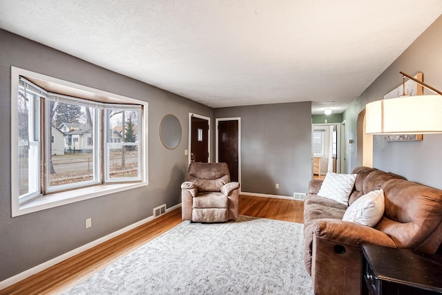 living room with hardwood / wood-style flooring