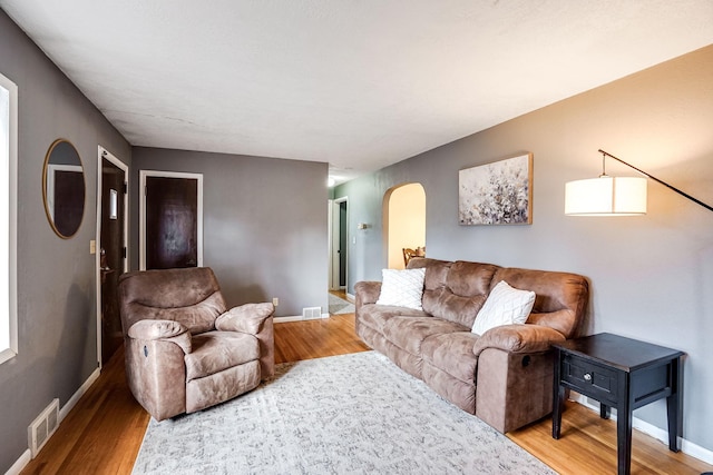 living room featuring light hardwood / wood-style floors