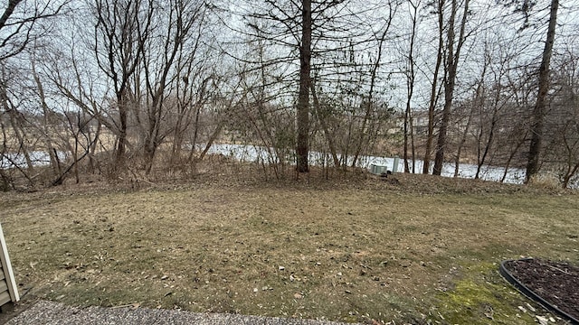 view of yard with a water view