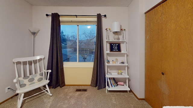 living area featuring carpet and a textured ceiling