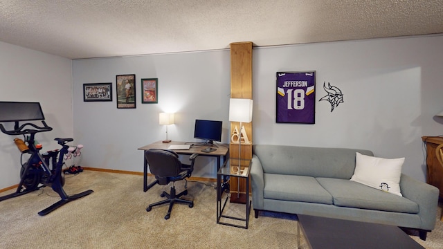 carpeted office space with a textured ceiling