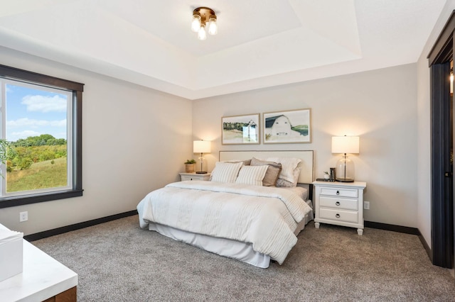 bedroom with a tray ceiling and carpet