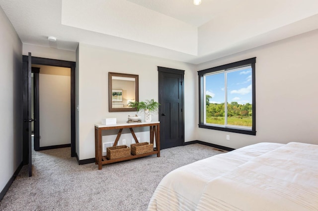 carpeted bedroom with a tray ceiling