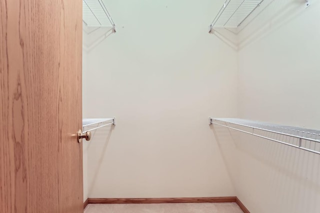 spacious closet with light colored carpet