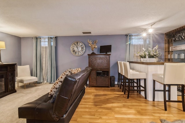 living room featuring hardwood / wood-style floors, a textured ceiling, and track lighting