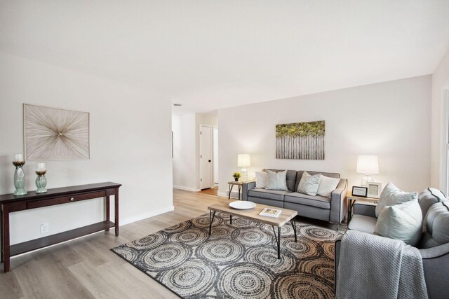 living room featuring light hardwood / wood-style floors