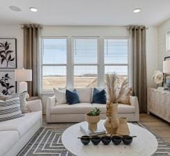 living room featuring hardwood / wood-style floors