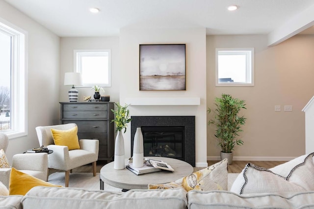 living room with wood-type flooring and a healthy amount of sunlight